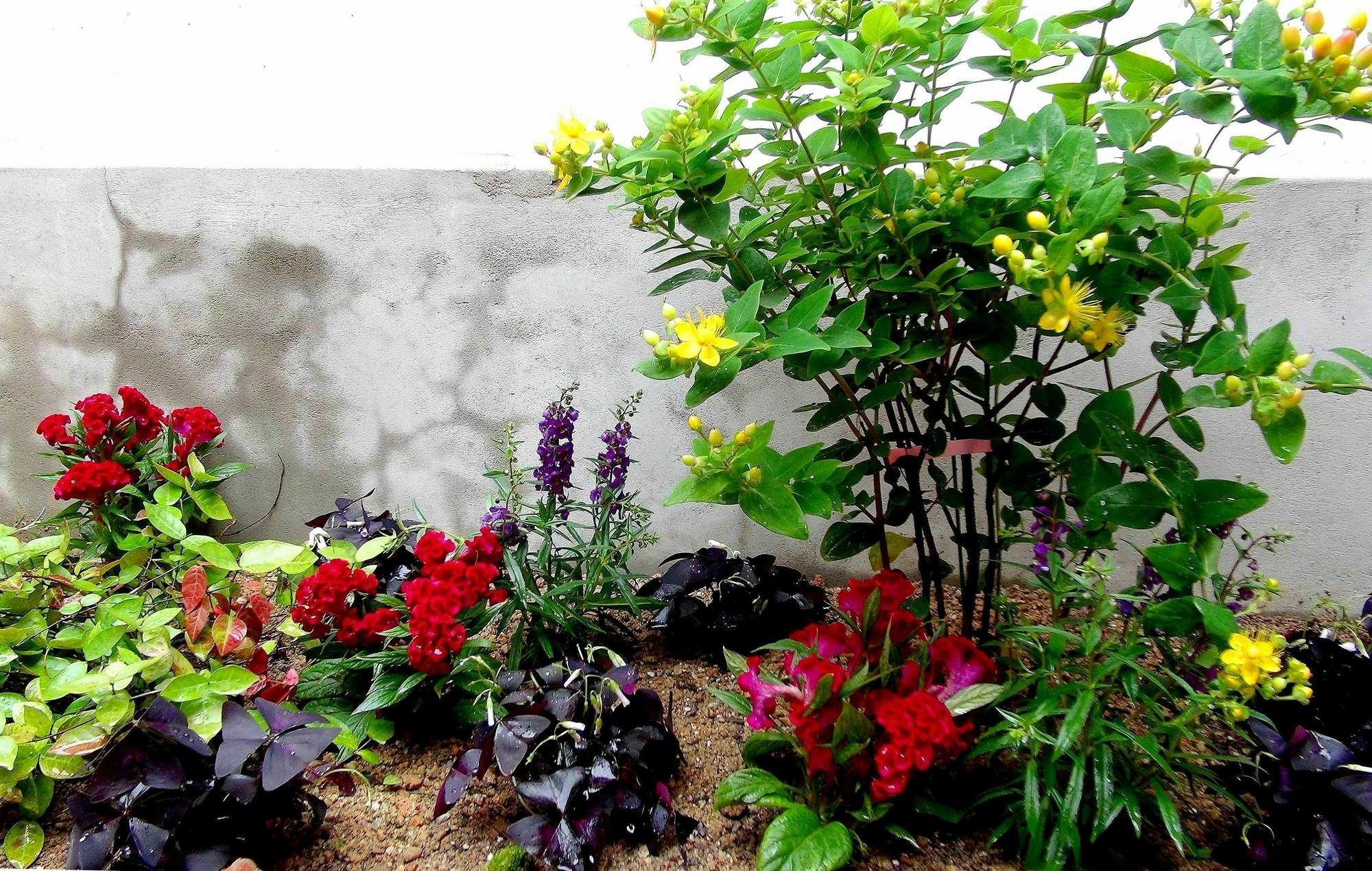 Kibi House Khách sạn 2*