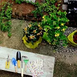 Kibi House