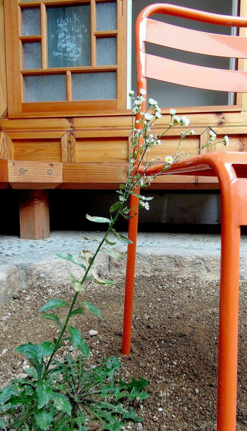Hotel Kibi House Seoul